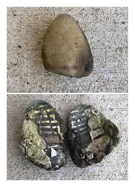 How doers get more done™. I Was Clearing Out Rocks In My Garden When This Rock Split Open And Revealed A Fossil Mildlyinteresting
