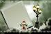 Indian Wedding Album Design 12x36
