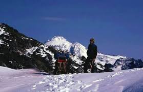 Image result for Desert Tan 1977 Hussmann