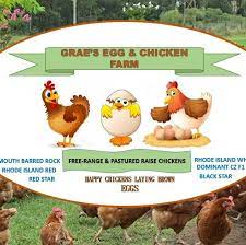 We did not find results for: Grae Eggs Farm Free Range Pastured Chicken Eggs Home Facebook