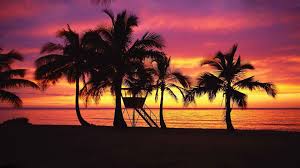 Americans make the move to hawaii to find the home of their dreams in paradise. Free Download Sunset Hawaii Oahu Wallpaper 1920x1080 280916 Wallpaperup 1920x1080 For Your Desktop Mobile Tablet Explore 45 Oahu Wallpapers Honolulu Wallpapers Free Free Wallpaper Beach Hawaii Oahu Hawaii Wallpapers