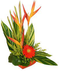 Maybe you would like to learn more about one of these? Tropical Heat Arrangement In Durham Nc Creative Flowers Interiors