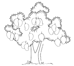 The baum test, (also known as the tree test or, in other countries, the koch test) is a projective test that is used extensively by psychologists around the world. Cara Mudah Mengerjakan Baum Test Tree Test Menggambar Pohon Beserta Penjelasan Dan Contohnya