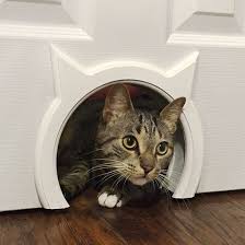 Diy Kitty Pass Interior Cat Door Hauspanther Cat Door Pet Door Hidden Litter Boxes