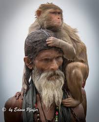 Просмотрите 57 идей на доске «aghori» и на тему «индия»