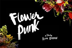 Cactus flower pensacola beach, cactus flower menu pensacola bc, cactus flower menu with prices pensacola. In Paradigms