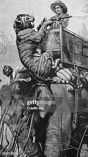 102 Elephant Hunting High Res Illustrations - Getty Images