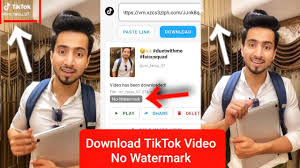 Copy the link once you've copied it. Tik Tok Video Downloader How To Download Tik Tok Videos Without Watermark On Your Phone Youtube