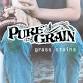 Pure Grain Concert event image