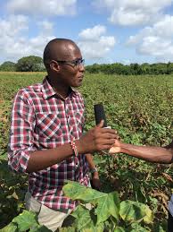 Jul 05, 2017 · salary at $58,000 average salaries for cotton farmers were $58,000 in 2014, according to indeed. Lamu Cotton Farmers Get Free Pesticides To Boost Yields