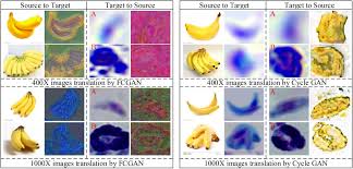 Plant cell under microscope 400x labeled. Unsupervised Toxoplasma Gondii Recognition By Fuzzy Cycle Generative Adversarial Network Biorxiv