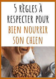 Epingle Sur Alimentation