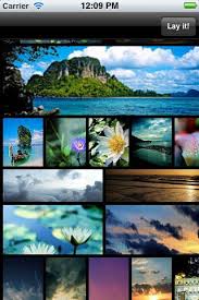 A Beautiful Looking Dynamic Grid View Ios Ios Design Cocoa