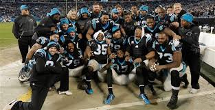 predicting the panthers depth chart for 2016