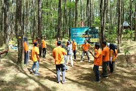 Paket Outbound di Puncak Pinus Becici Terbaru 2024
