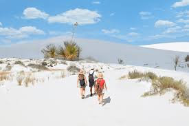 Due to virus transactions by appointment only. White Sands National Monument New Mexico Visit Las Cruces New Mexico Las Cruces Cvb
