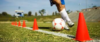 images?q=tbn:ANd9GcTWBdyOz3Q6Ro94apzyxUu