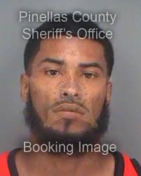 Burlary, Grand Theft, Domestic Battery: Tarpon Springs Arrests