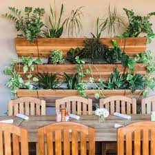 Riesige auswahl an cds, vinyl und mp3s. Grassroots Kitchen Tap Scottsdale Restaurant Scottsdale Az Opentable