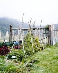 Souvenirs Le Jardin Potager De Ma Tante Josefina A Olague Edible Garden Magical Garden Veggie Garden