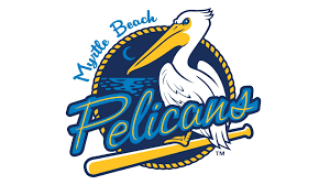 Official licensee of the nfl, mlb, nba, nhl, mls, gm, call of duty, select colleges and more! Myrtle Beach Pelicans Logo And Symbol Meaning History Png