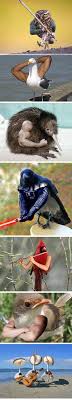 Birds With Human Arms Youtube Birds With Human Arms Funny Birds Funny Animals Funny