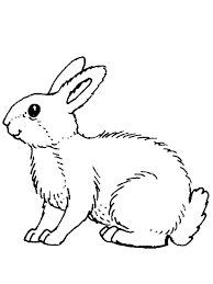 Lei, tigri, hipopotami, maimute alegeti ce va place si puteti printa si veti avea desenele de colorat dorite. Desene Cu Animale Salbatice De Colorat Imagini È™i PlanÈ™e De Colorat Cu Animale Salbatice