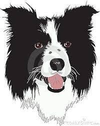 Cartoon Dog Stock Photos Images Pictures 26 220 Images Page 5 Cartoon Border Collie Border Collie Art Cartoon Dog