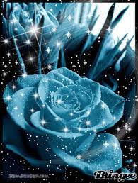 This is nice as well your gif images seem pretty realistic. Sign In Beautiful Rose Flowers Blue Roses Wallpaper Beautiful Flowers