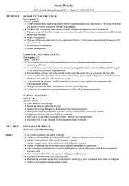 This one is significantly shorter than the other statements included here. Events Executive Resume Samples Velvet Jobs