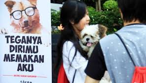 Kami telah merangkum beberapa rekomendasi merk makanan anjing lengkap dengan harga nya. Surakarta Tunggu Instruksi Gubernur Soal Larangan Makan Anjing Nasional Tempo Co
