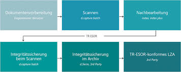 When you perform a batch capture, you log the in and out points of a number of clips and then the purpose of using a batch capture is threefold: Ersetzendes Scannen So Gelingt Die Umsetzung Der Tr Resiscan