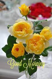 Pin By Dorothy Thurow Konle Haskell On Morning Greetings Quotes Good Morning Images Flowers Good Morning Flowers Container Flowers