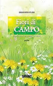Le immagini arrivano senza telaio in imballaggi di cartone sicuri. Fiori Di Campo Von Ernesto Flisi 9788869906299