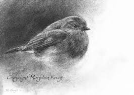 Roodborstje Wildlife Art Houtskool Tekening Houtskool Houtskooltekeningen Vogels Tekenen