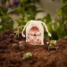 Pin Auf Garten