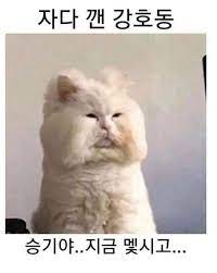 쉬잇와이의사언니 김지연 212.370 views2 months ago. Winner ì‹ ì„œìœ ê¸° ë¯¼í˜¸ë™ ì†¡ë¯¼í˜¸ ê°•í˜¸ë™ ì–¼êµ´í¬ê¸° ë¹„êµ