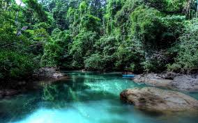 Maybe you would like to learn more about one of these? Costa Rica Wallpapers Top Free Costa Rica Backgrounds Wallpaperaccess