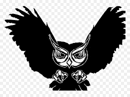 May 06, 2020 · sketsa burung hantu keren. Transparent White Owl Png Background Burung Hantu Keren Png Download Vhv