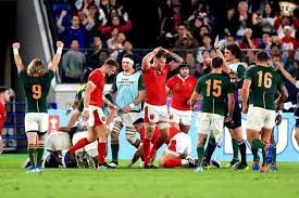La rencontre se tiendra à l'international stadium de yokohama (japon) et le coup d'envoi sera donné à 10h00 (heure française). Coupe Du Monde Les Notes D Actu Rugby Apres La Demi Finale Afrique Du Sud Pays De Galles Actu Rugby