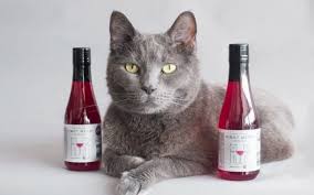 gift guide 12 gifts for cat ladies cat wine dog wine cats