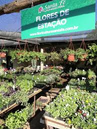 Conheça a floricultura victória e deixe sua casa com mais vida e cor! Floricultura Santa Fe Plantas Flores E Servicos De Paisagismo Em Porto Alegre Rs