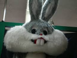 kahve falinda tavsan kafasi gormek