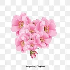 Pink Spring Plants Japanese Aesthetic Translucent Handpainted Cherry Flowers Illustration Translucent Aestheticism Hand Painted Png Transparent Clipart Image Watercolor Flower Background Spring Plants Pink Roses Background