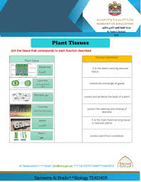 Maybe you would like to learn more about one of these? Plant Cells And Tissues Worksheet