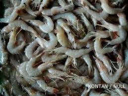 Cirebon merupakan kota yang cukup strategis untuk berlibur. Industri Pengolahan Ikan Dan Udang Bertumbangan