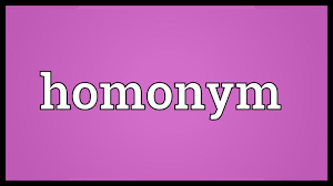 Homonym Meaning Youtube