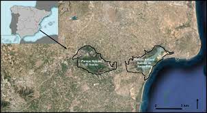Maybe you would like to learn more about one of these? 10 Mapa De La Albufera De Elche Comprende El Parque Natural El Hondo Download Scientific Diagram