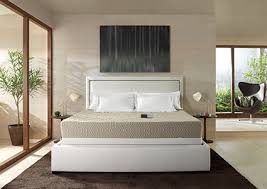 Sleep number king size cost. How Much Does A Sleep Number Bed Cost Lovetoknow