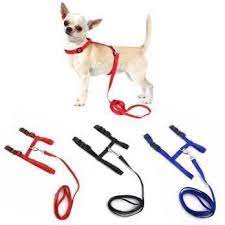 Adjustable Pet Collar Harness And Leash Safety Black Pets Hub Home Small Dog Harness Dog Harness Dog Accessories